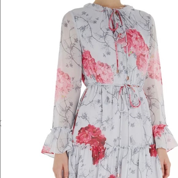 TED BAKER - Eriin Babylon Ruffle Dress - Picture 8 of 15